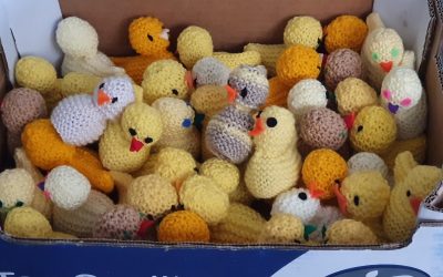 Hand knitted Chicks in aid of Galway Hospice