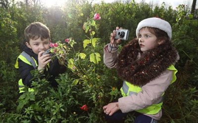 Galway City Council – Photography Competition