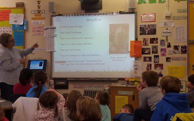 Hibernation Presentation