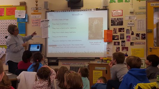 Hibernation Presentation