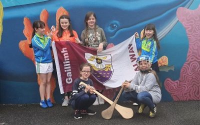All-Ireland Camogie Final