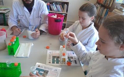 Maths Week 2019