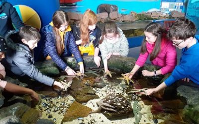 Galway Atlantaquaria