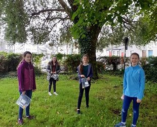 Art and Our Local Environment