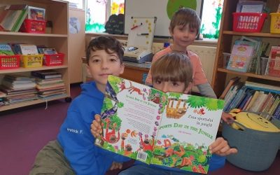 School Library Home Languages Funding Scheme
