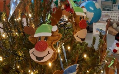 Reindeer Creations