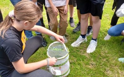 Butterfly Release