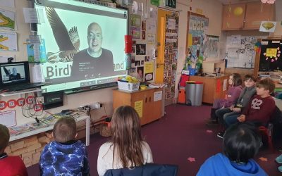 ‘Birds Around Your School’ Webinar