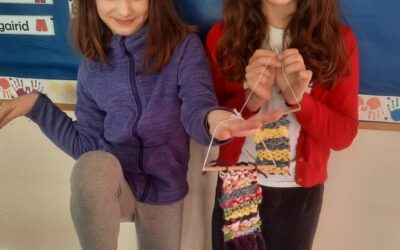 Fabric and Fibre