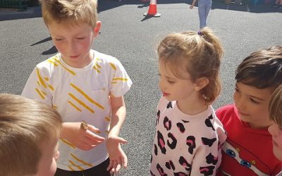 Butterfly Release!