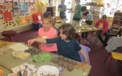 Seed Bombs
