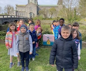 Exploring the Local Community