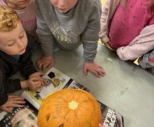 Halloween Preparation