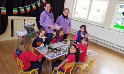 Ladybirds and Brownies