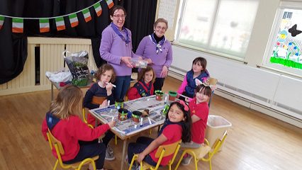 Ladybirds and Brownies