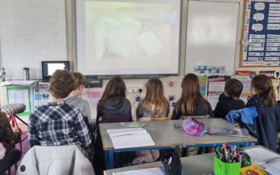 Caroline Busher and Wexford Education Centre