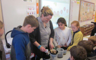 Think Before You Flush Workshop from Clean Coasts, An Taisce
