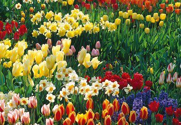 Getting ready already for Spring!