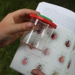 Identifying creatures in Woodquay Park as part of the SINC Project