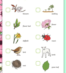 Spring Hunt Checklist