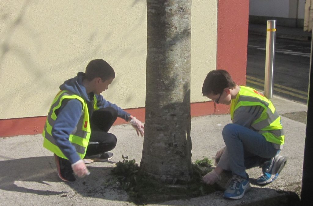 An Taisce Spring Clean