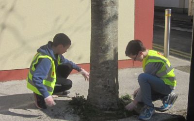 An Taisce Spring Clean