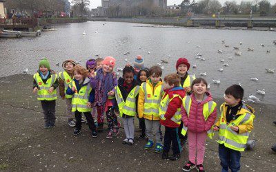 Birdwatching in the Infant Classroom!