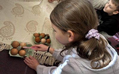 Eggs-periment Results