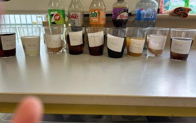 Science ‘Eggs-periment’