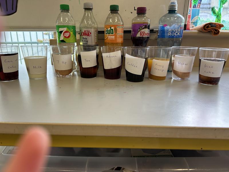 Science ‘Eggs-periment’