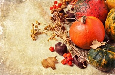 Harvest Service