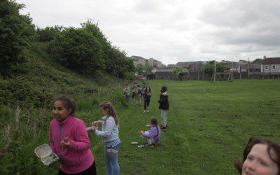 Planting the Seed Bombs
