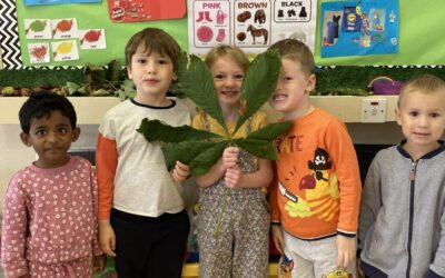 Seeds and Leaves!