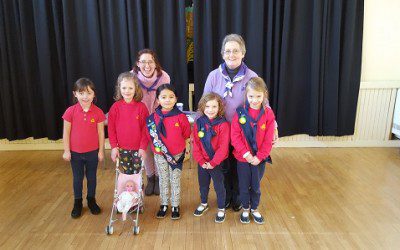 Ladybirds in St. Nicholas’