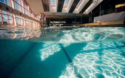 Swimming Wednesday