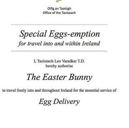 Easter Bunny Update!