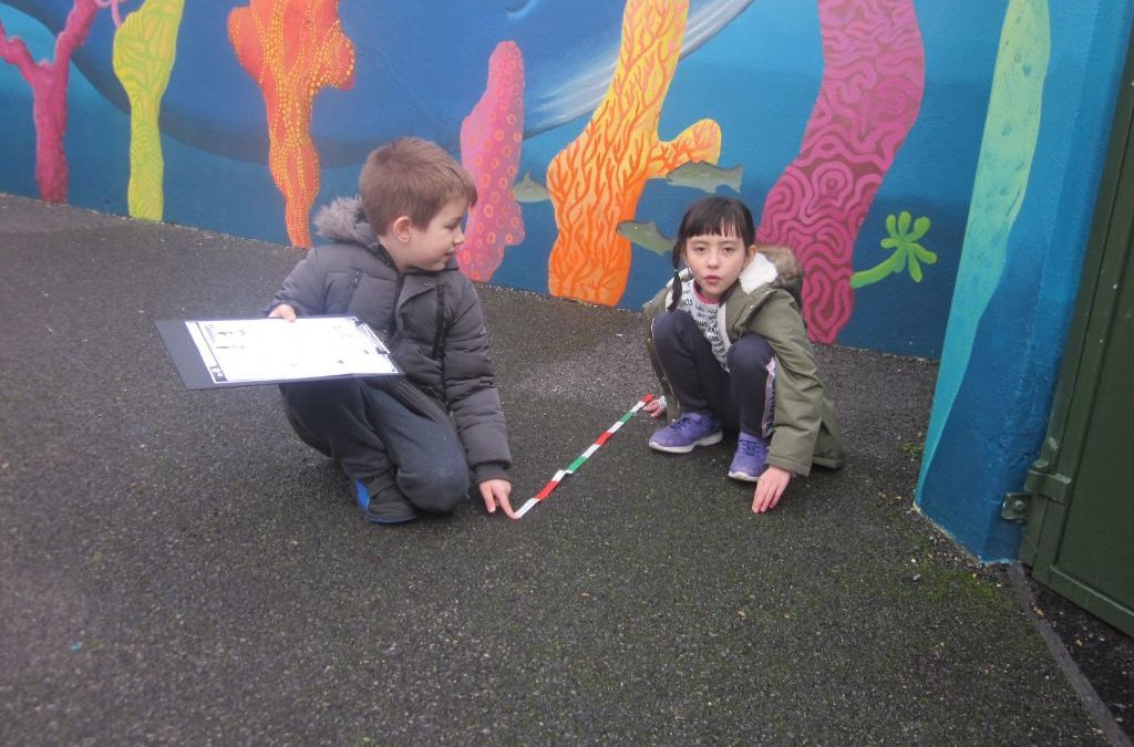 Active Maths