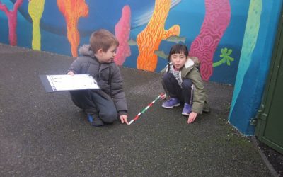 Active Maths