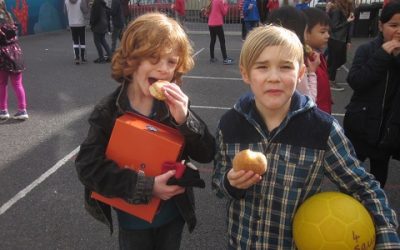 Doughnut Thursday!