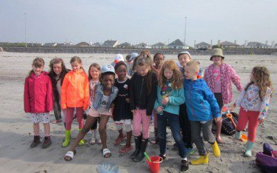 Seashore Safari 2018