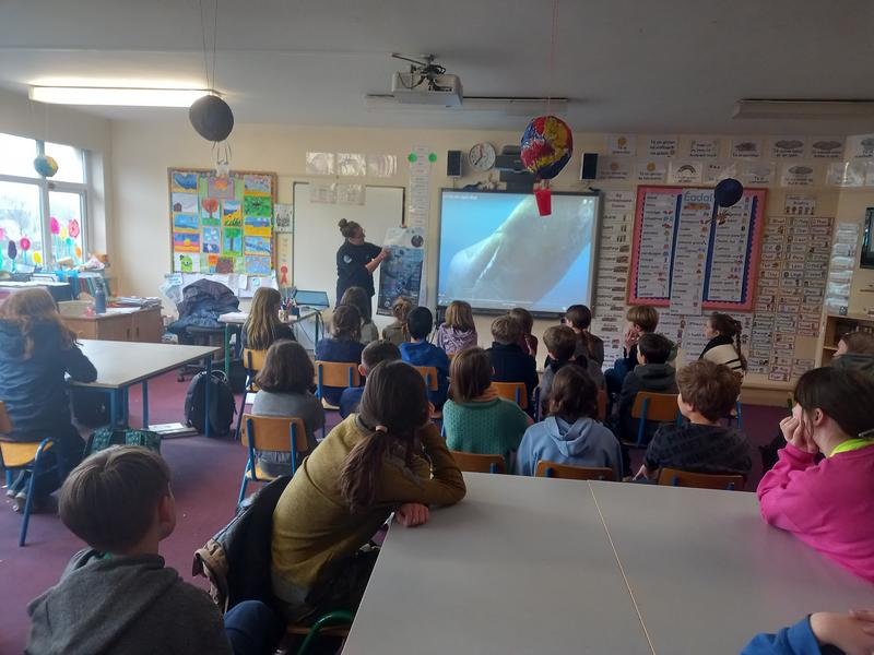 Marine Institute Explorers Program