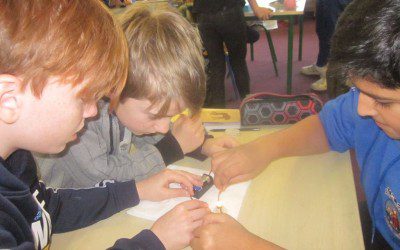 Scientists at Work