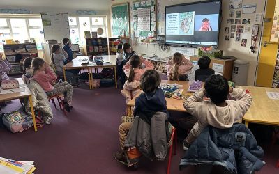 The Bear and the Piano