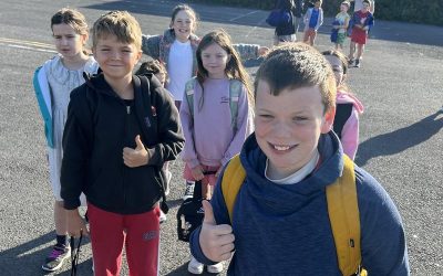 Walk on Wednesday