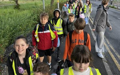 Walk on Wednesday